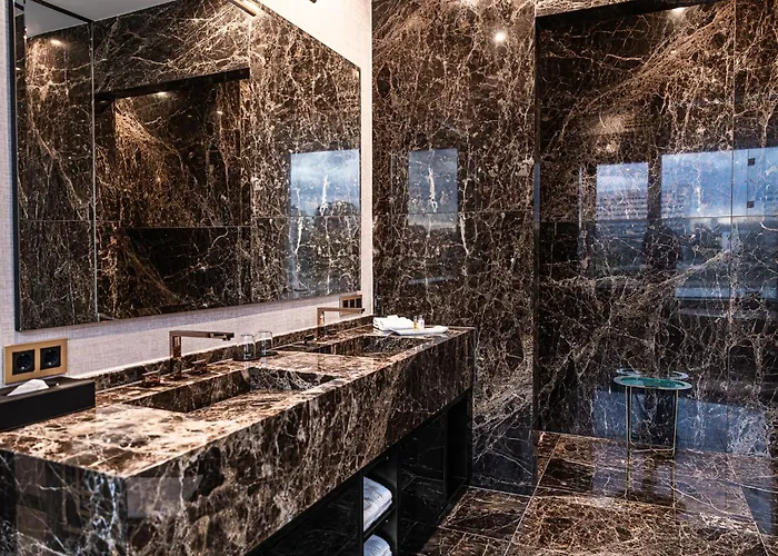 Main 5* 美因河畔法兰克福